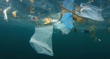 Basura en el oceano