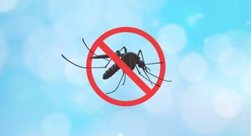 image for Refuerzan vigilancia en salud por aumento de Dengue