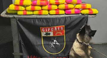 image for Polícia apreende 20 kg de drogas escondidos em bote durante navegação