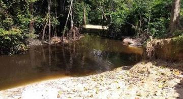 image for Indígenas de Leticia denuncian mortandad en lago Takana