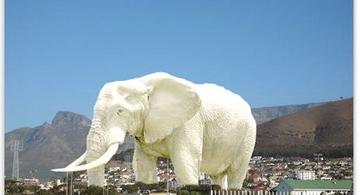 image for  Aumenta cantidad y valor de elefantes blancos en obras inconclusas
