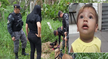 image for Cadela Fiona ajuda policiais nas buscas pelo menino Erlon Gabriel desparecido