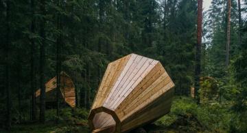 image for Estudiantes estonios construyen audífonos gigantes para escuchar al bosque