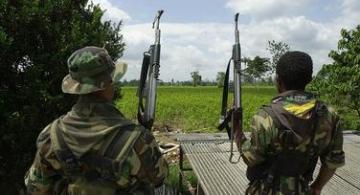 image for Grupo de 40 guerrilheiro da Colômbia entrou em território brasileiro e atacou de surpresa 