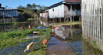 image for Tarapacá / Poco a poco el río entra al pueblo