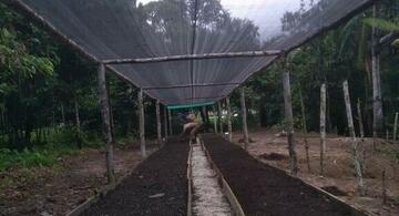 image for Moradores da Fazenda da Esperança iniciam trabalhos de horta