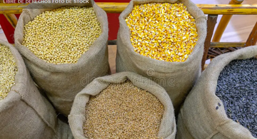 image for Productos como el camu-camu y la quinua registran aumento en la demanda europea