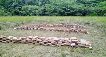 image for Polícia destruiu 700 quilos de drogas apreendidas nas diversas ações