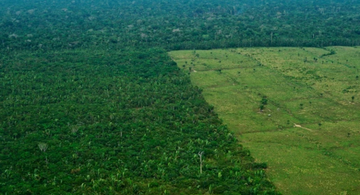 image for Amazonía está perdiendo su fuerza