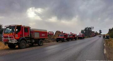 image for Incendios forestales dejan 26 muertos en Argelia