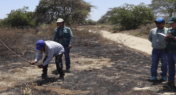 image for Corpoguajira intensifica acciones para prevenir incendios forestales