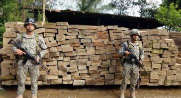 Personas al lado de un arrume de listones de madera incautda