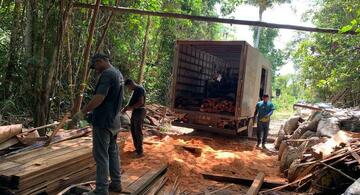 image for Ipaam apreende madeira e destroi fornos de fabricação de carvão ilegal