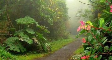 Zonas verde de Costa Rica