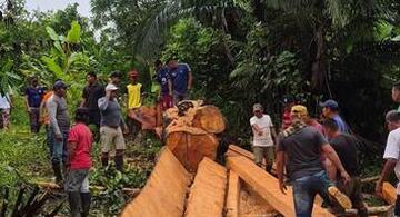 image for Comunidad de Ticoya se une para salvar su puente peatonal