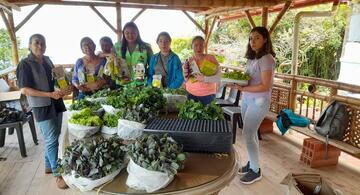 image for CCI lanza convocatoria para apoyar a las mujeres rurales 