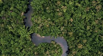 image for Amazonía visible /  Acciones para su conservación y desarrollo