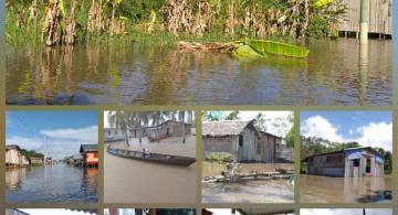 Varias imagens de inundacoes em tabatinga