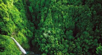 Area verde en Costa Rica