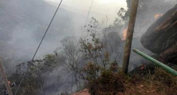 Zonas quemadas en Dinamarca por incendios forestales