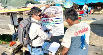 image for Inician campaña de sensibilizacion sobre el trafico ilegal de fauna silvestre