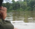 Selvas del Amazonas 