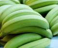 Racimos de platano verde 