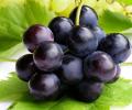 Racimos de uva caimarona
