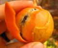 Tucuma fruto de la region del Amazonas en racimo
