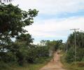 Comunidad de Umariacu Tabatinga