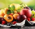 image for Frutos