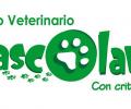 image for Centro veterinario mascolandia