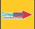 image for Cootransamazonas Amazonas 