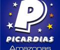 image for Picardias