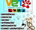 image for Veterinaria Vet+