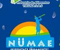 image for Nümae