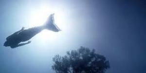 Leyendas del Amazonas Imagen de una sirena en un lago