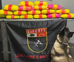 image for Polícia apreende 20 kg de drogas escondidos em bote durante navegação