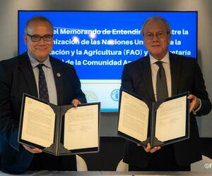 image for  FAO y la Secretaría General de la CAN renuevan alianza