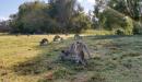 image for Coombabah Lakelands 