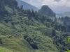 Andes Occidetales