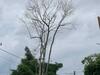 Calle 10 