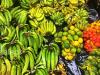 Frutas y frutos en el puerto