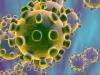 image for Coronavirus en Colombia no es un riesgos