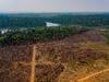 image for Desmatamento na Amazônia em junho é o maior em 5 anos
