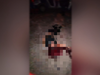 image for Mulher é brutalmente assassinada a tiros no Jorge Teixeira