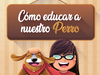 image for Cómo educar a un perro paso a paso