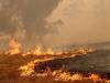 image for Evacuaciones en  Australia por incendios que ya dejan 17 muertos