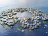 image for South Korea to build the world's first floating city