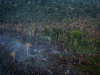 image for Amazonia brasileña el mayor número de incendios desde 2007